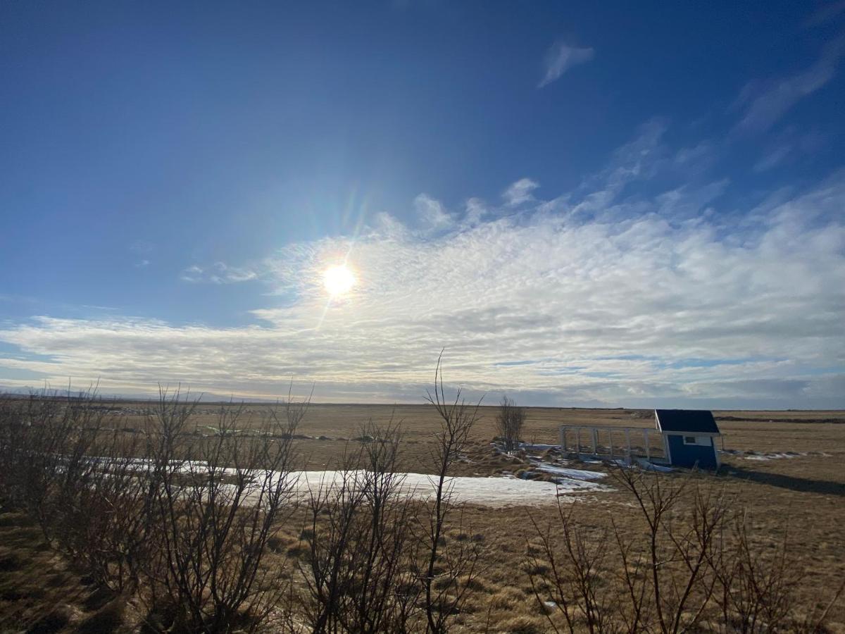 Skalarimi - Country House Selfoss Ngoại thất bức ảnh